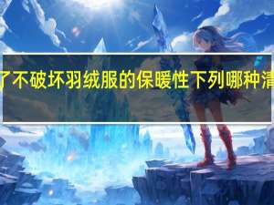 蚂蚁庄园1229为了不破坏羽绒服的保暖性下列哪种清洗方式更合适答案分享