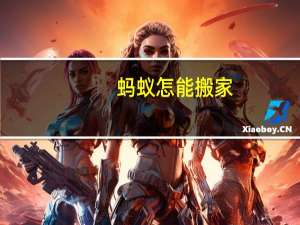 蚂蚁怎能搬家