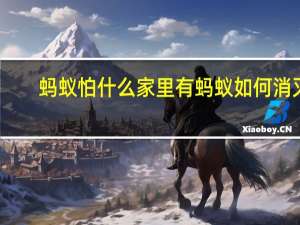蚂蚁怕什么 家里有蚂蚁如何消灭