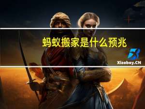 蚂蚁搬家是什么预兆