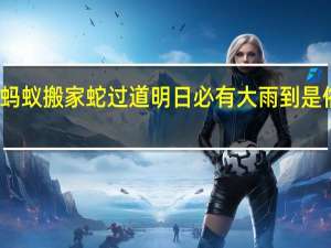 蚂蚁搬家蛇过道明日必有大雨到是俗语吗