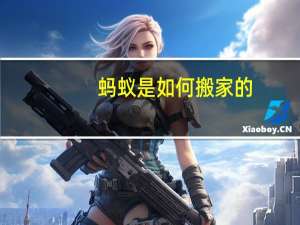 蚂蚁是如何搬家的