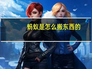 蚂蚁是怎么搬东西的