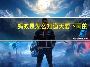 蚂蚁是怎么知道天要下雨的