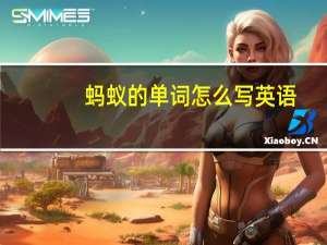 蚂蚁的单词怎么写英语