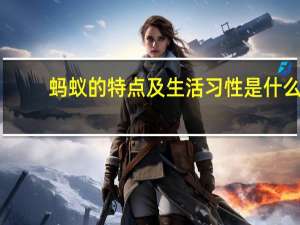 蚂蚁的特点及生活习性是什么