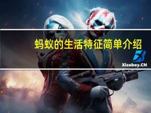 蚂蚁的生活特征简单介绍（蚂蚁的生活习性）