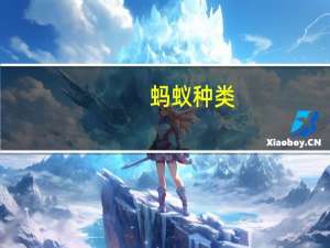 蚂蚁种类