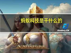 蚂蚁科技是干什么的