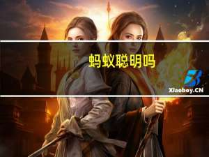 蚂蚁聪明吗