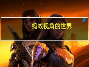 蚂蚁视角的世界