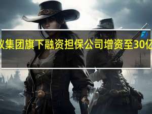 蚂蚁集团旗下融资担保公司增资至30亿 增幅400%