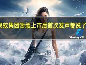 蚂蚁集团暂缓上市后首次发声 都说了些什么