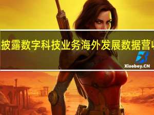 蚂蚁集团首次披露数字科技业务海外发展数据营收规模同比增长300%