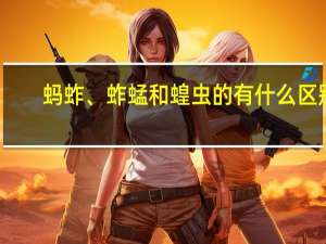 蚂蚱、蚱蜢和蝗虫的有什么区别