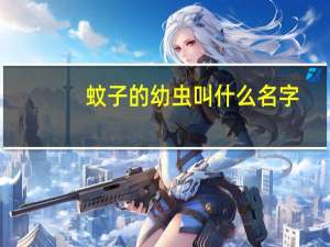 蚊子的幼虫叫什么名字