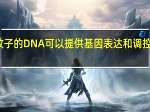 蚊子的DNA可以提供基因表达和调控的线索