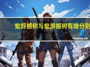 蚍蜉撼树与蚍游撼树有啥分别