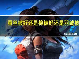蚕丝被好还是棉被好还是羽绒被好（蚕丝被和羽绒被哪个好）