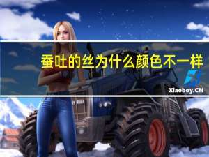 蚕吐的丝为什么颜色不一样
