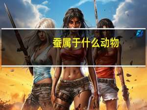 蚕属于什么动物