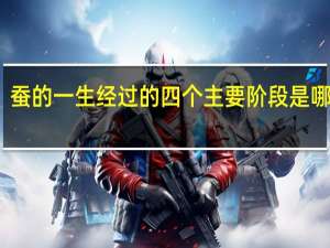 蚕的一生经过的四个主要阶段是哪四个（蚕的一生经过的四个主要阶段是）