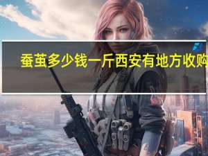 蚕茧多少钱一斤西安有地方收购么（蚕茧多少钱一斤）