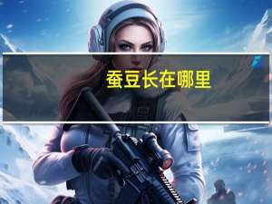 蚕豆长在哪里
