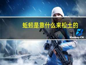 蚯蚓是靠什么来松土的