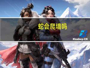 蛇会爬墙吗