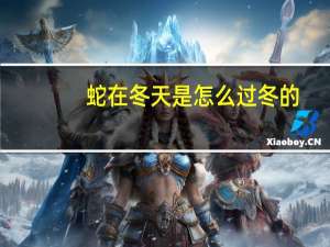 蛇在冬天是怎么过冬的