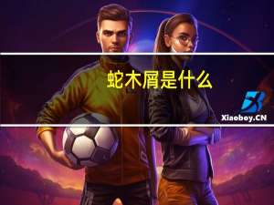 蛇木屑是什么