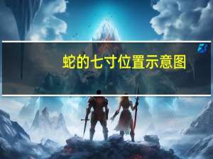 蛇的七寸位置示意图