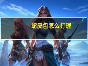 蛇皮包怎么打理