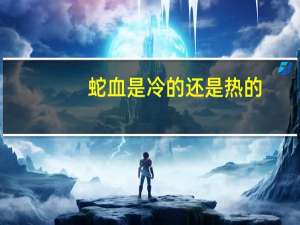 蛇血是冷的还是热的（蛇血）