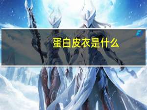 蛋白皮衣是什么