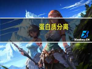 蛋白质分离