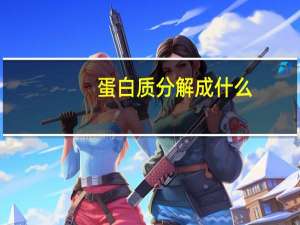 蛋白质分解成什么