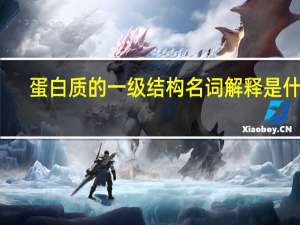 蛋白质的一级结构名词解释是什么