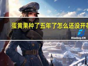 蛋黄果种了五年了怎么还没开花
