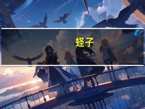 蛏子（蛏子的做法）