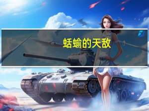 蛞蝓的天敌