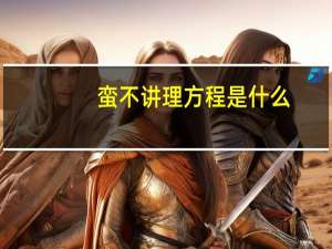 蛮不讲理方程是什么