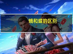 蛾和蝶的区别