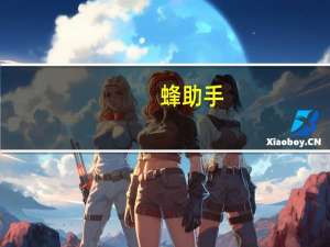 蜂助手：公司云终端技术研发及云算力运营的客户主要为华为