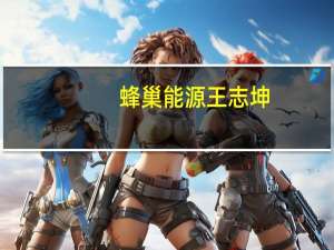 蜂巢能源王志坤：公司IPO处于问询阶段
