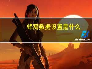 蜂窝数据设置是什么（蜂窝数据设置）