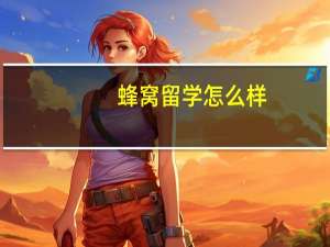 蜂窝留学怎么样