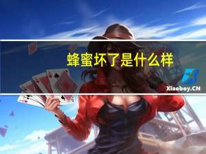蜂蜜坏了是什么样