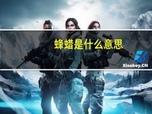 蜂蜡是什么意思
